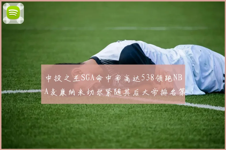 中投之王SGA命中率高达538领跑NBA麦康纳米切尔紧随其后大帝排名第七